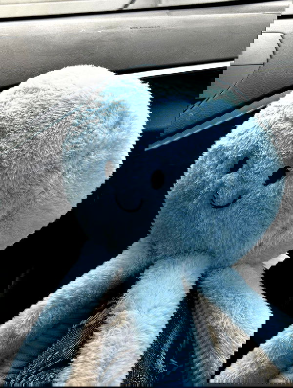 _animechika_ _animechika_ archive image