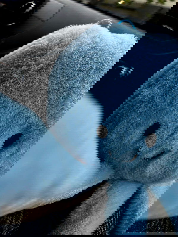 _animechika_ _animechika_ archive image