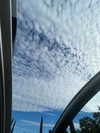 _cla._8 Altpins Profile Picture