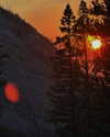 _dfoxx Altpins Profile Picture