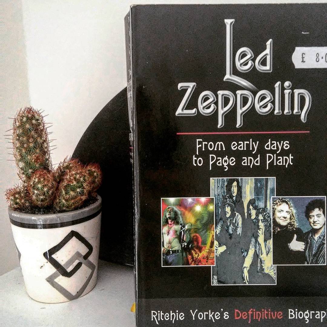 _femalien instagram image archive image