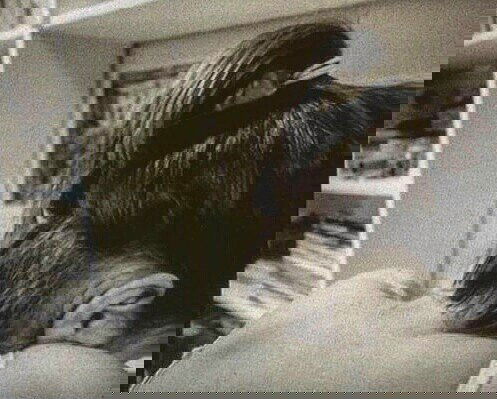 _femalien instagram image archive image