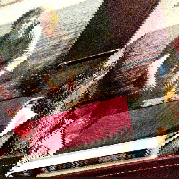 _femalien image ~ Altpins