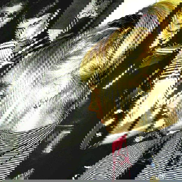 _femalien image ~ Altpins