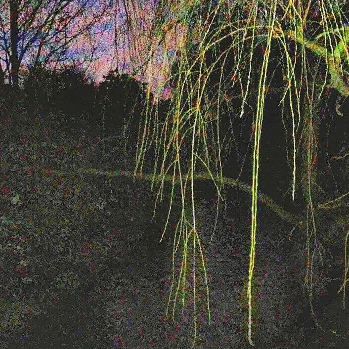 _femalien instagram image archive image