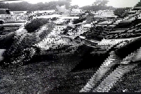 _femalien image ~ Altpins