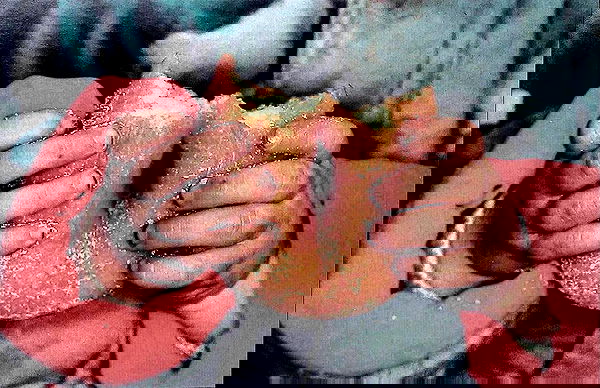 _femalien image ~ Altpins