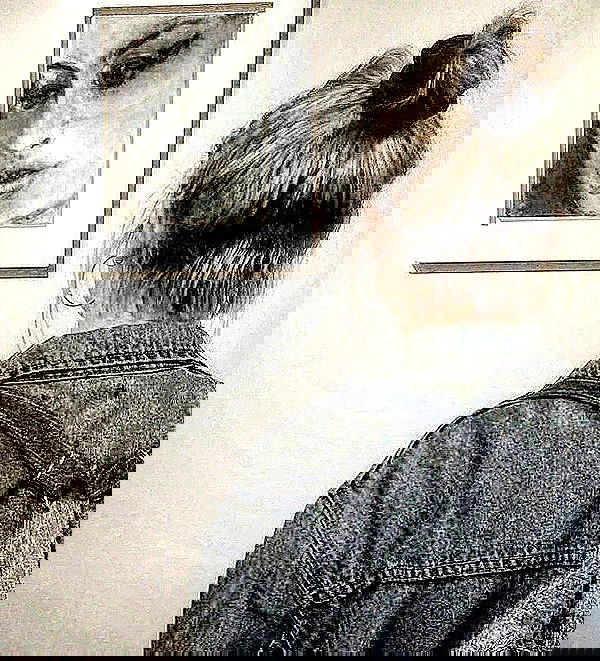 _femalien image ~ Altpins