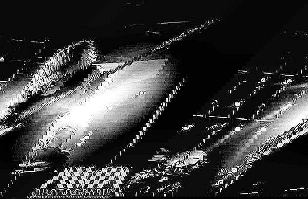 _femalien image ~ Altpins