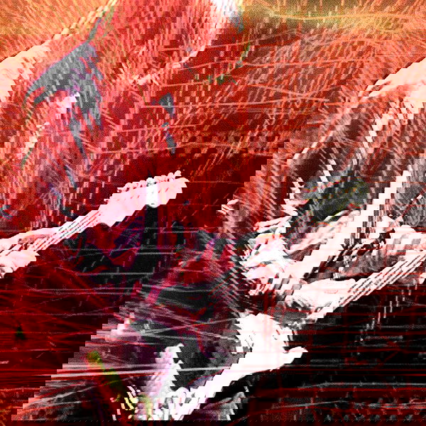 _femalien image ~ Altpins