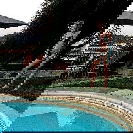 _femalien image ~ Altpins