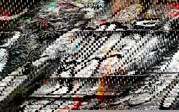 _femalien image ~ Altpins