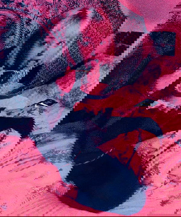 _femalien image ~ Altpins