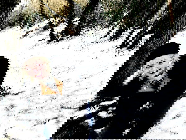 _femalien image ~ Altpins