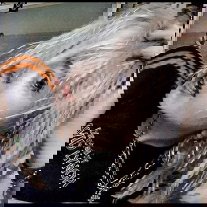 _femalien instagram image archive image