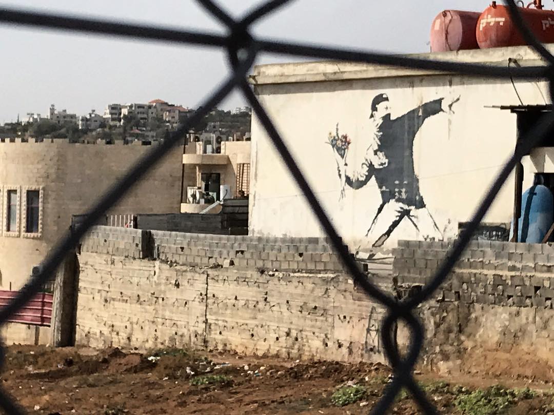 _femalien instagram image archive image