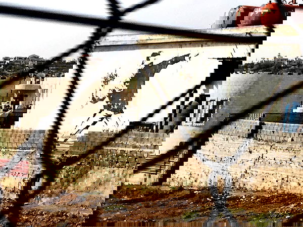 _femalien image ~ Altpins