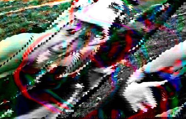 _femalien image ~ Altpins