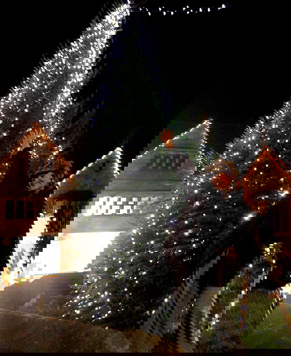 _femalien image ~ Altpins