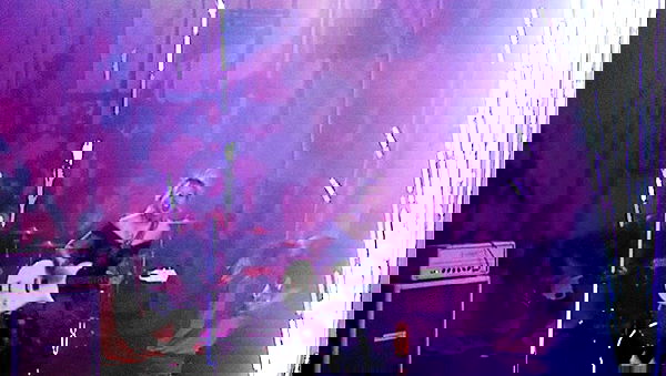 _femalien image ~ Altpins