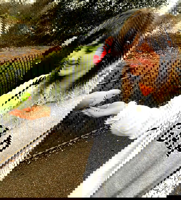 _femalien image ~ Altpins