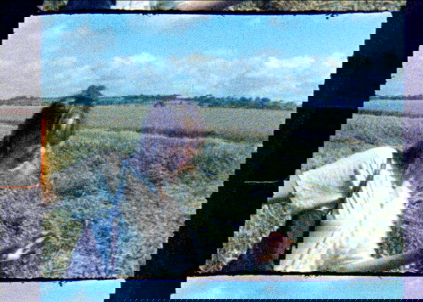 _femalien image ~ Altpins