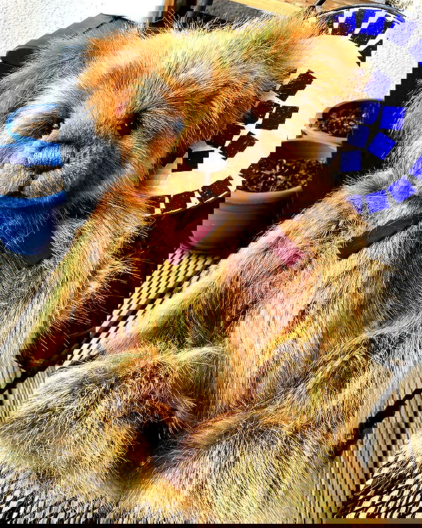 _femalien image ~ Altpins