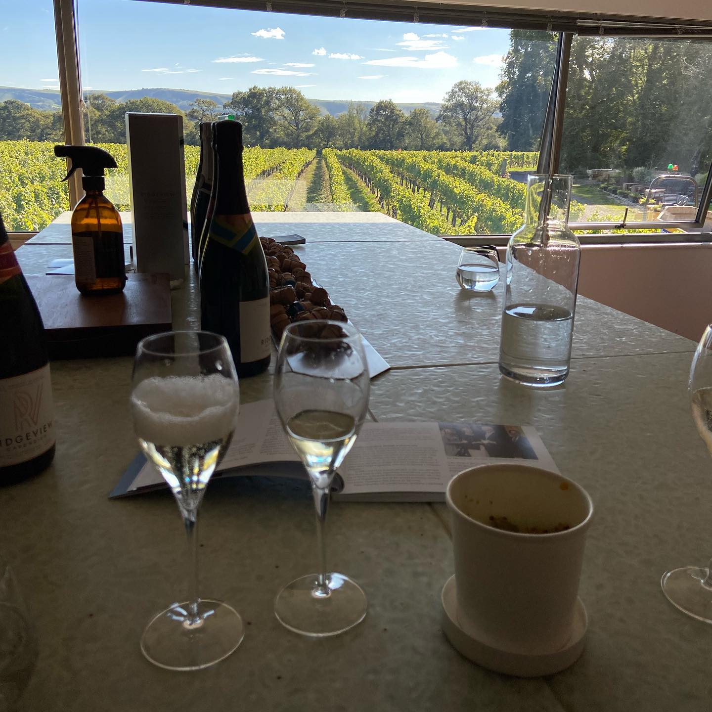 _femalien instagram image archive image