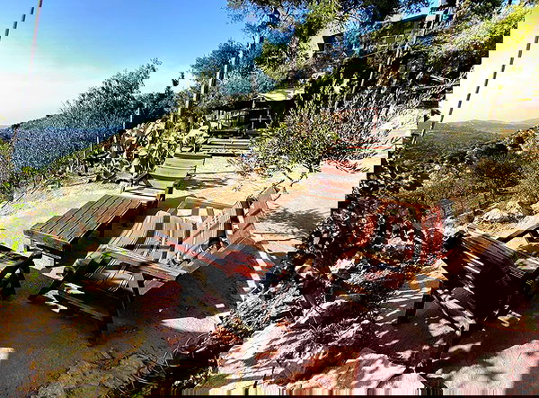 _femalien image ~ Altpins