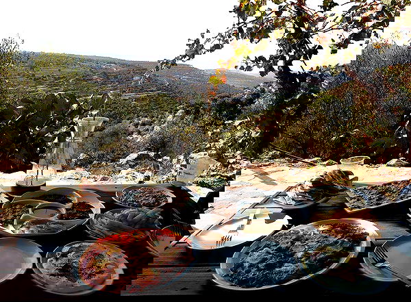 _femalien image ~ Altpins