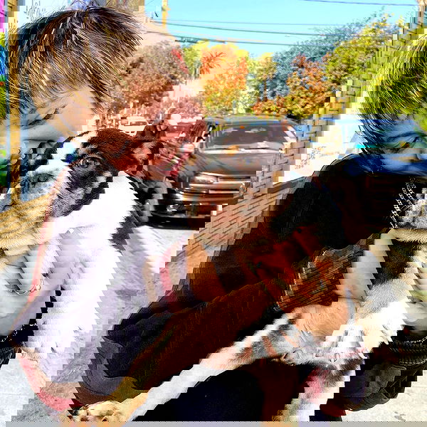 _femalien image ~ Altpins