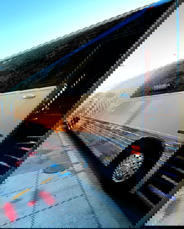 _femalien image ~ Altpins