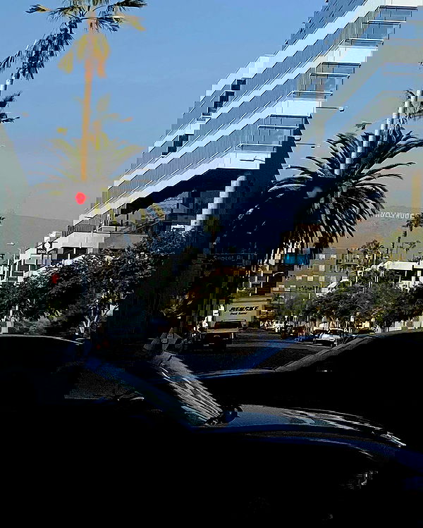 _femalien image ~ Altpins