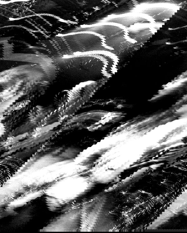 _femalien image ~ Altpins