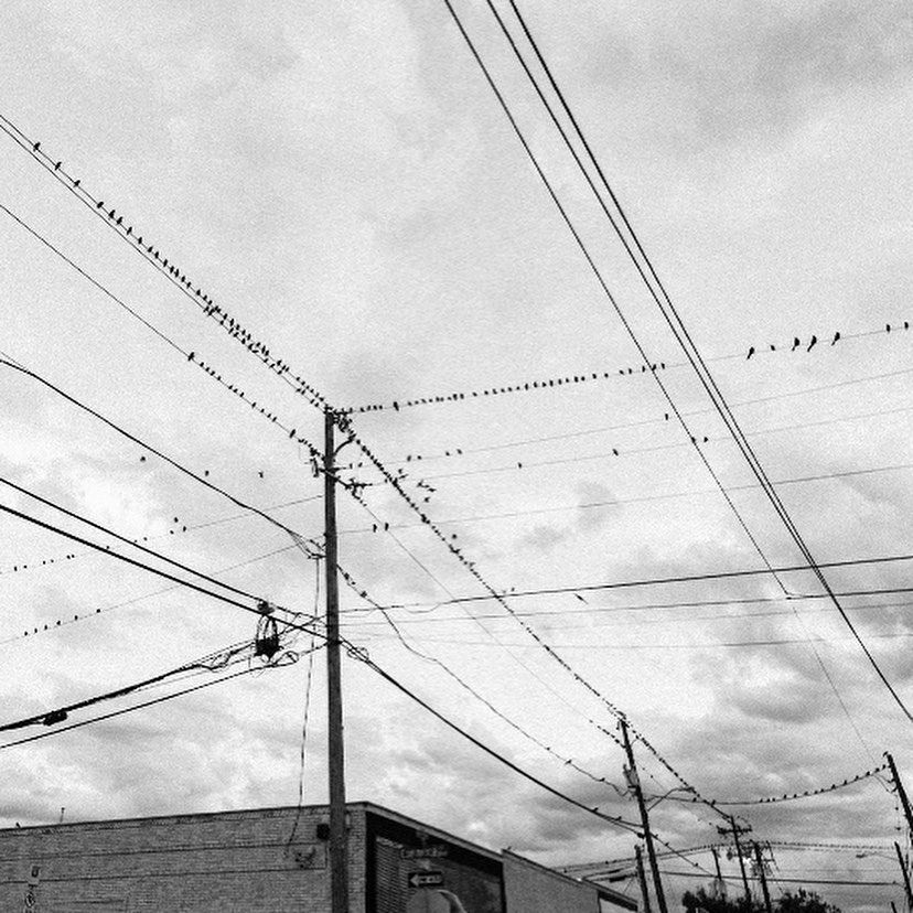 _femalien instagram image archive image