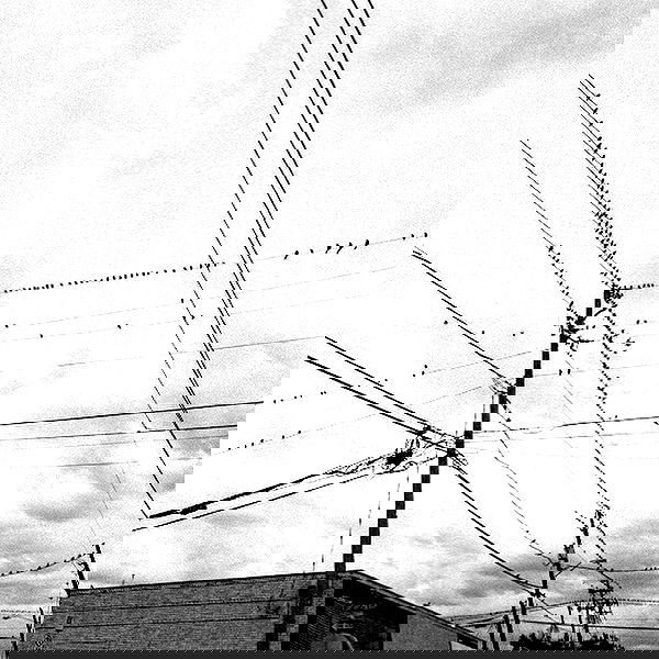 _femalien image ~ Altpins