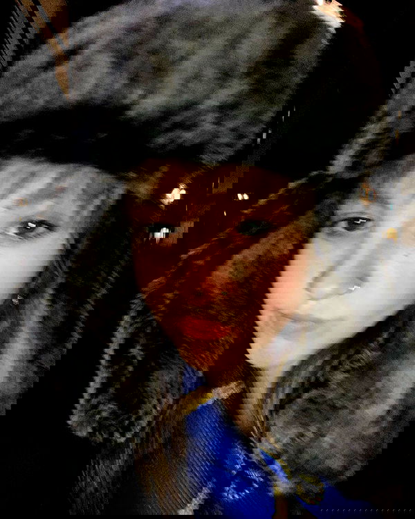 _femalien _femalien archive image