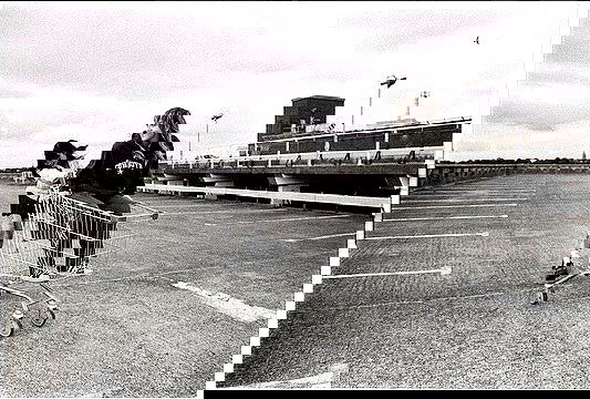 _femalien image ~ Altpins