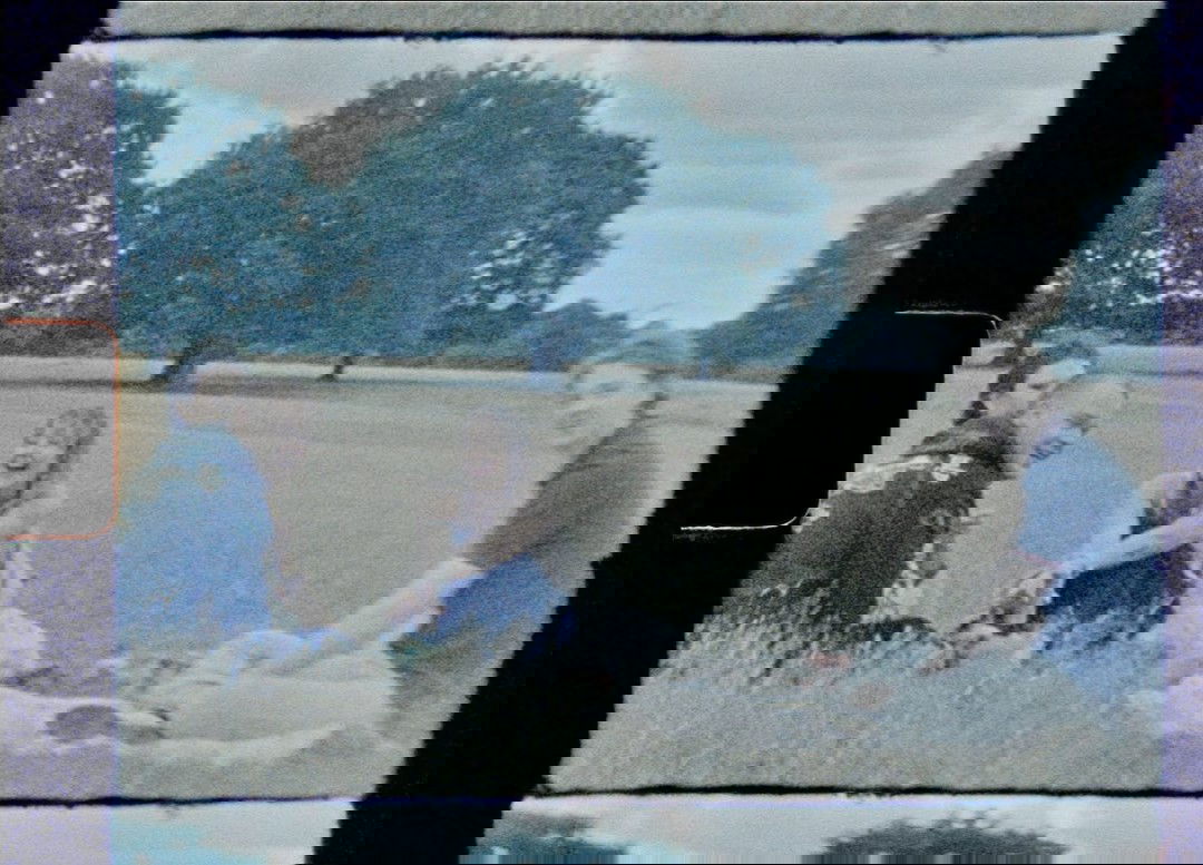 _femalien instagram image archive image