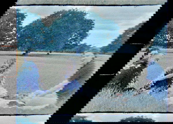 _femalien image ~ Altpins