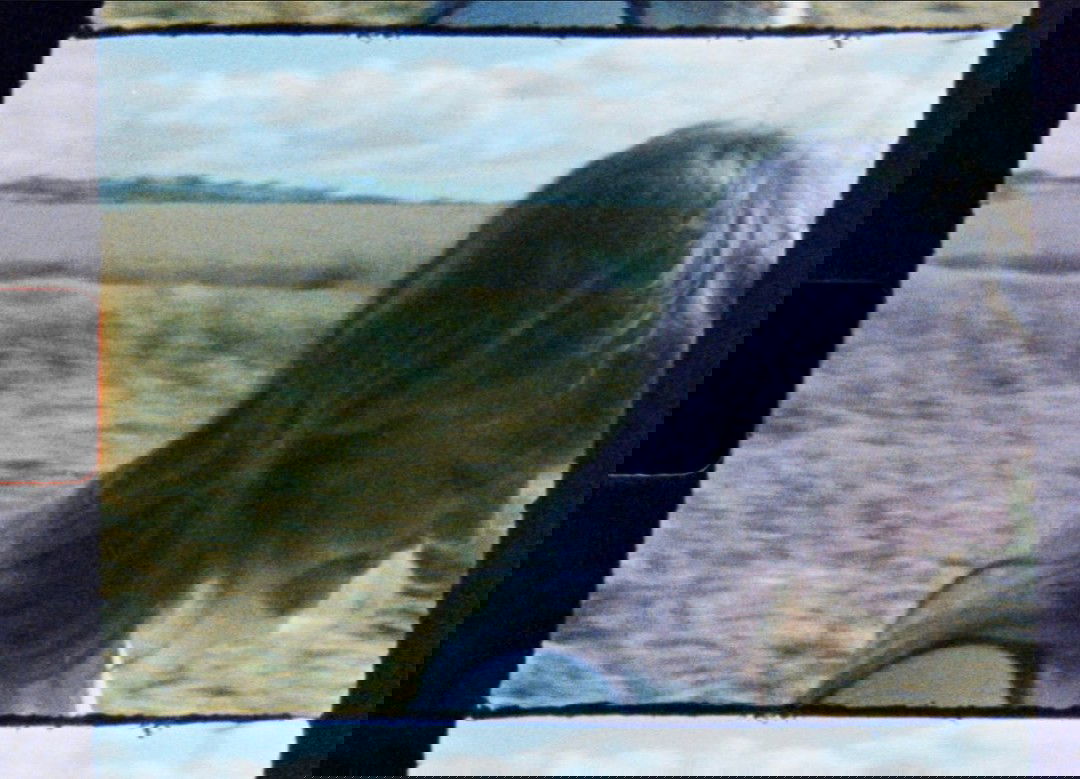 _femalien instagram image archive image