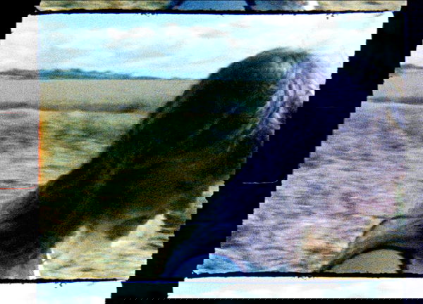 _femalien image ~ Altpins