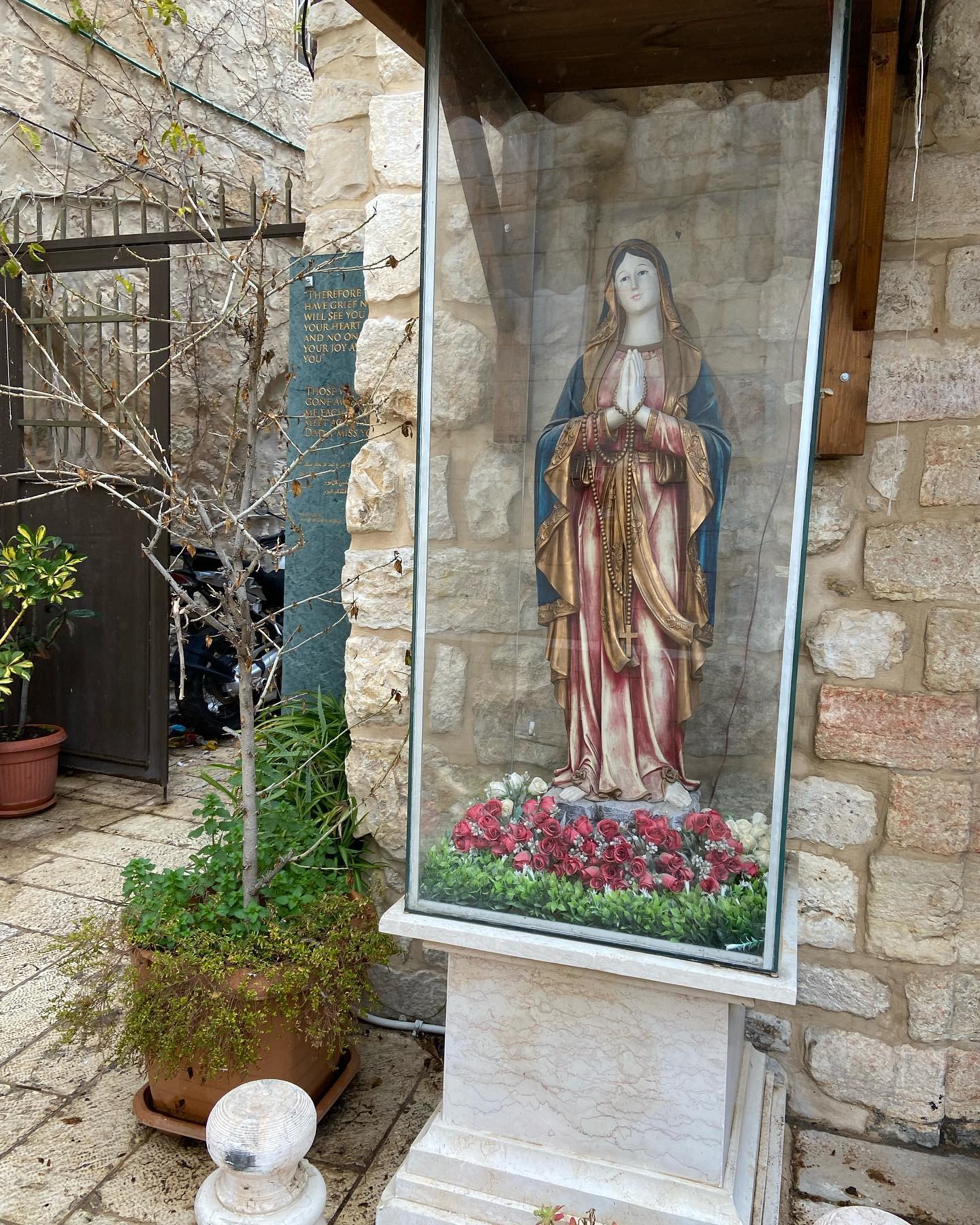 _femalien instagram image archive image