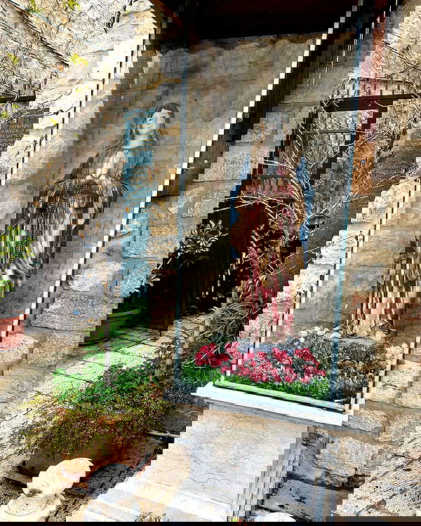 _femalien image ~ Altpins