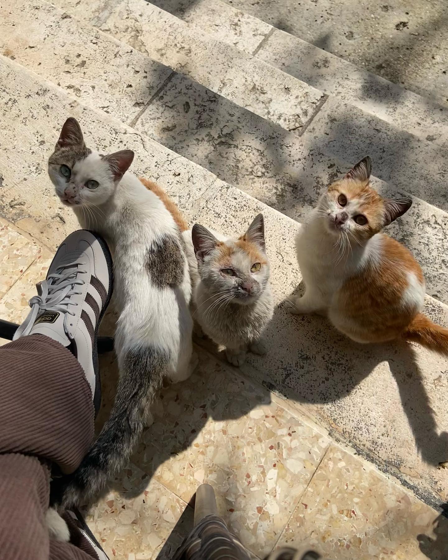 _femalien instagram image archive image