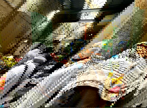 _femalien image ~ Altpins