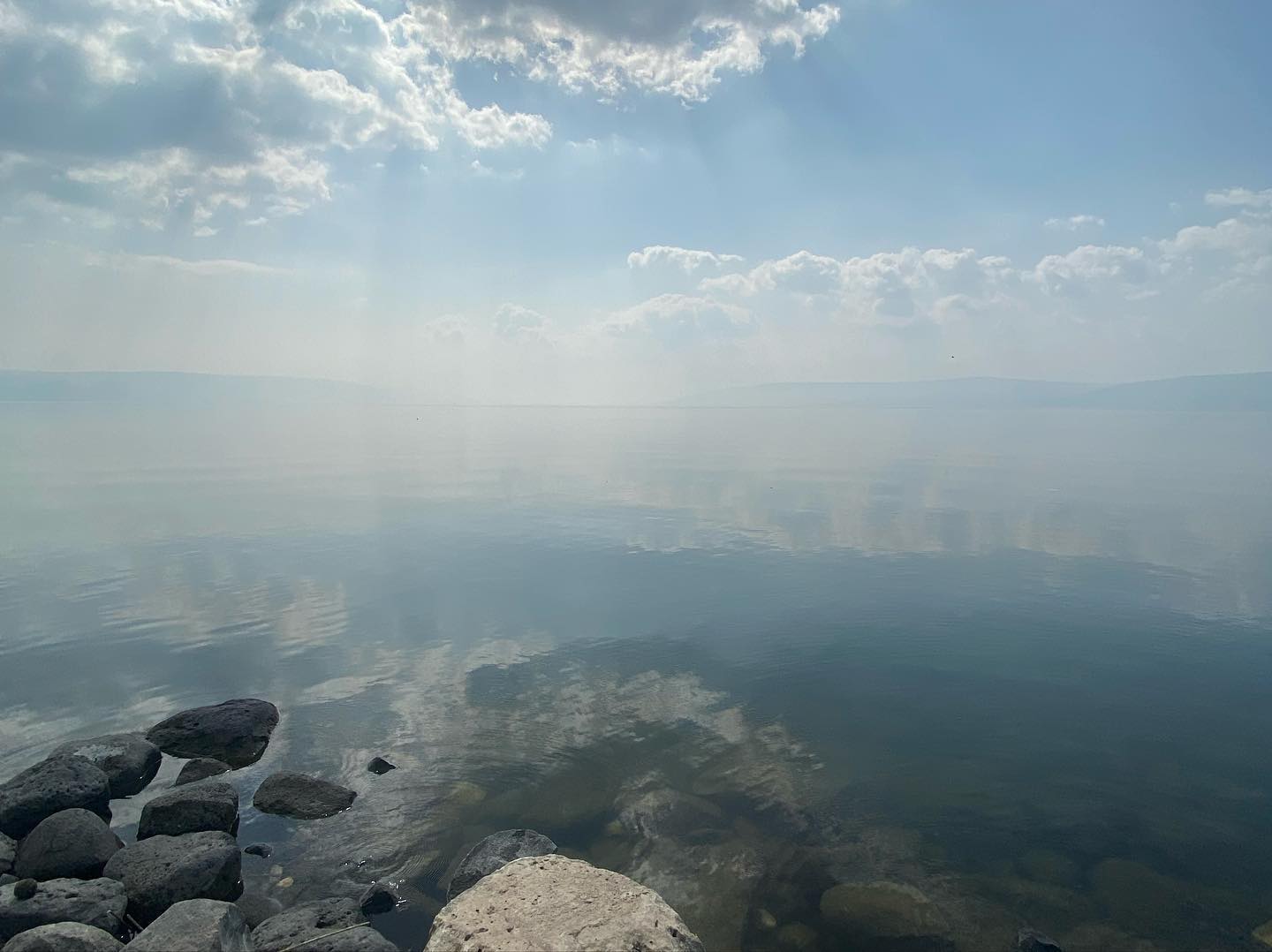 _femalien instagram image archive image