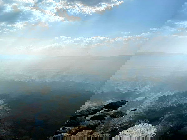 _femalien image ~ Altpins