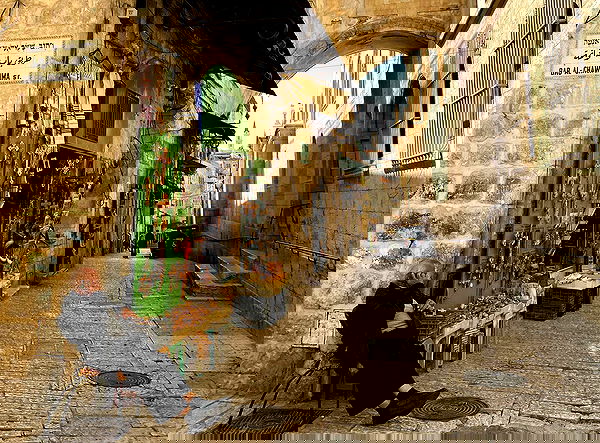 _femalien image ~ Altpins