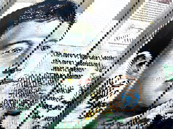 _femalien image ~ Altpins